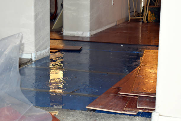Professional Basement Flood Cleanup technician working in Mount Hope, AL